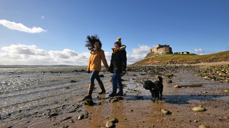 Visitors walking with their dog on the beach at Lindisfarne Castle, Northumberland